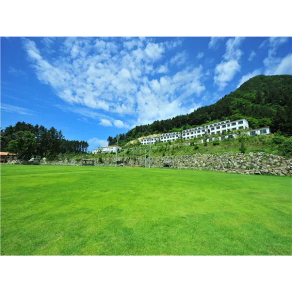 [포항영일만신항] 울릉도 독도4일 ＜대형크루즈/선박텔/라페루즈리조트/육로A,B코스/올식사포함＞