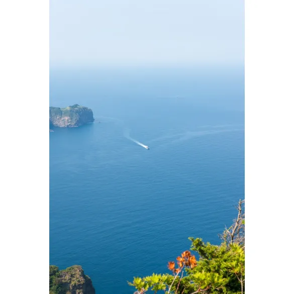 [포항영일만신항/4도탐방] 울릉도 독도 죽도 관음도 4일 ＜크루즈/모텔급/육로완전일주＞