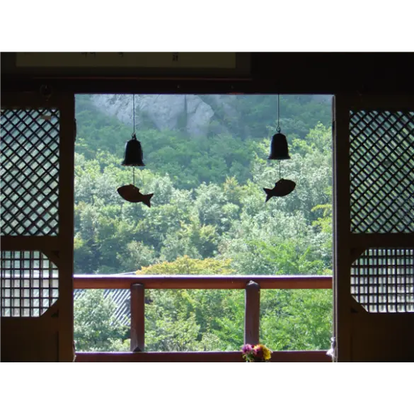 강원도 고성 당일여행 ＜지자체지원특가/해파랑길＞