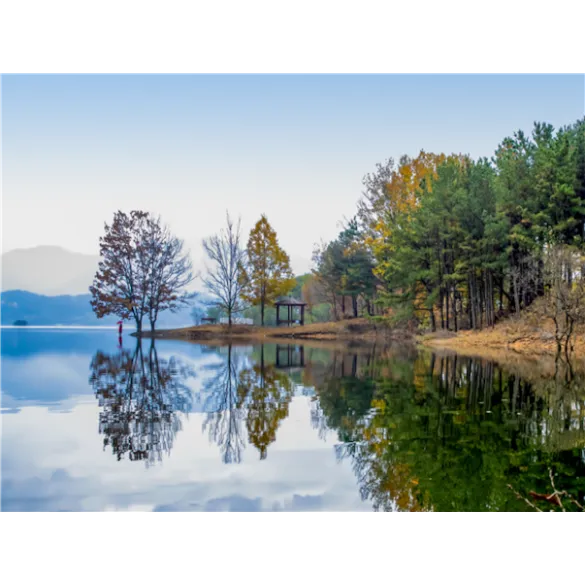 [집중모객]충청도 대전 당일여행 ＜지자제지원특가/장태산휴양림＞