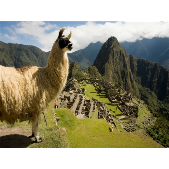 남미 4개국 일주 13일＜마추픽추/이과수폭포＞