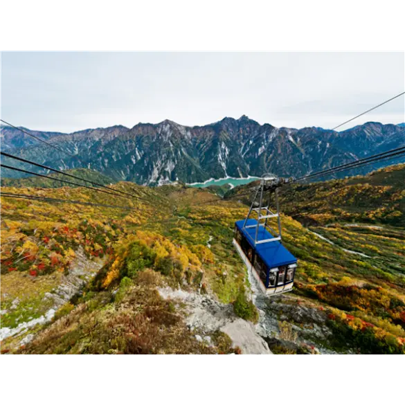 [출발확정][가을에는알펜루트]나고야/후쿠이/알펜루트/신호타카 4일(팁포함/월드체인호텔/특식포함/로프웨이탑승)