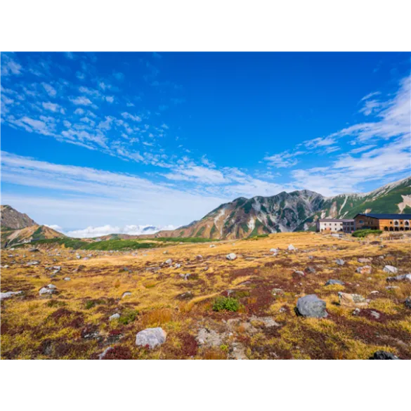 [실속/가을~겨울이오면~알펜루트] 나고야/가나자와/알펜루트 온천 4일(알펜루트횡단/시라카와고)
