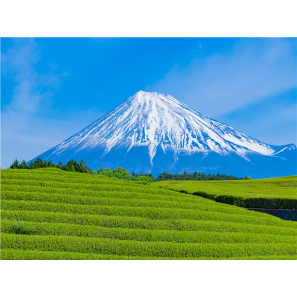 [출발확정][NEW시즈오카] 후지산/하코네/시즈오카/도쿄/오다이바 4일(전일관광/온천호텔1박/트윈룸)