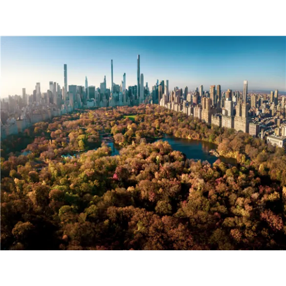 [조성진 카네기홀 리사이틀] 클래식 읽어주는 남자와 함께 떠나는 뉴욕 클래식 문화 여행 7일＜맨하튼 숙박/브로드웨이 뮤지컬/도슨트 투어/오페라 관람＞