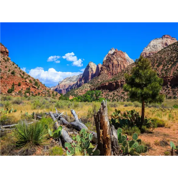 [출발확정] 미서부 하와이 9일 ＜5대캐년/초특급 하얏트 리젠시 오션뷰＞