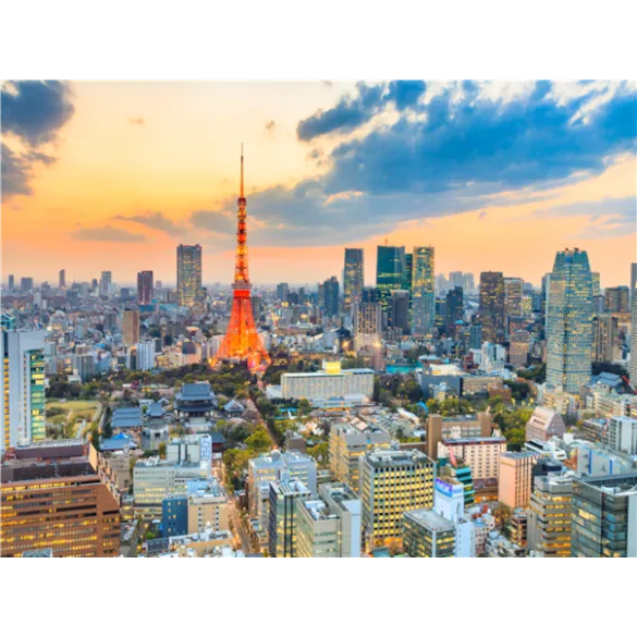 [하이클래스/비즈니스] 아만 도쿄 3일 자유여행 ＜전용차량/가이드 제공＞