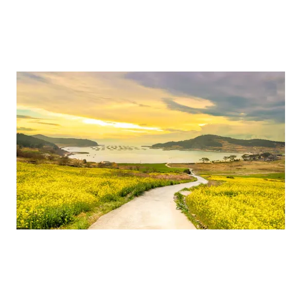 [KTX-모텔] 완도 보길도 청산도 1박2일