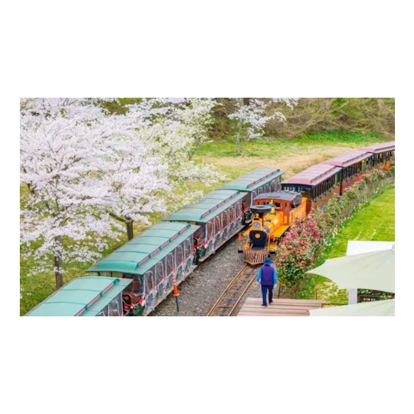 [골프72홀+핵심관광] 제주 힐링 파크골프 1박 2일