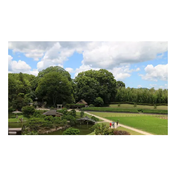 [오카야마 X 대한항공] 오카야마/오사카/교토/나라/히메지 온천 4일 (팁포함/온천2박/3대특식)