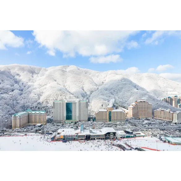 소노벨 비발디파크 B , C